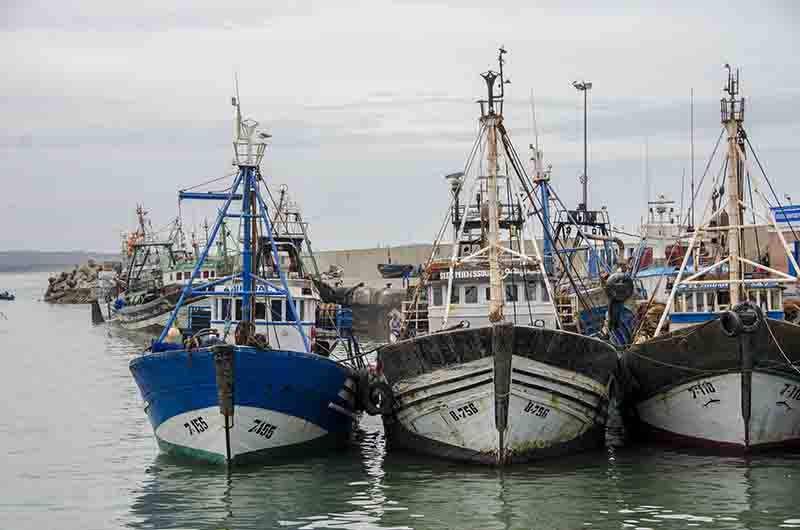286 - Marruecos - Essaouira - puerto pesquero